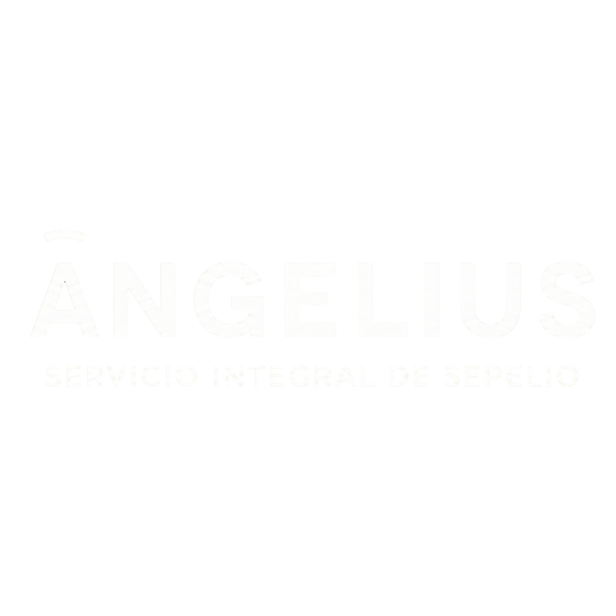 Angelius